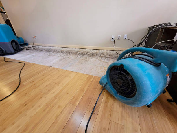 Professional Structural Drying technician working in Sibley, MO